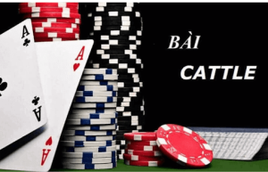 Những mẹo và cách chơi catte FB68 hiệu quả, luôn chiến thắng
